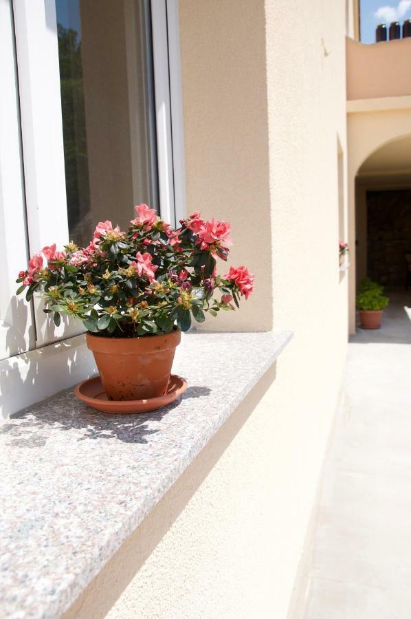 Apartment Viveniti Klenovica Exterior foto